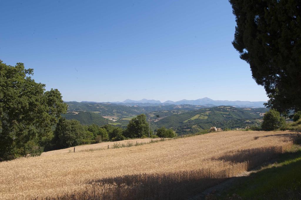 Agriturismo Tenuta Di Biscina Экстерьер фото