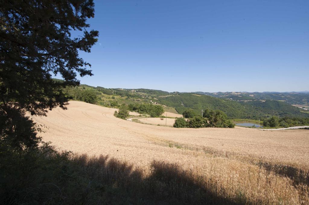 Agriturismo Tenuta Di Biscina Экстерьер фото