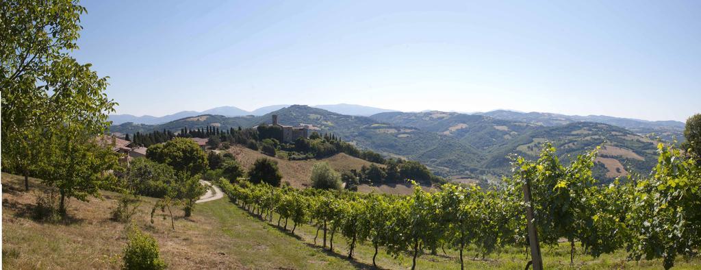 Agriturismo Tenuta Di Biscina Экстерьер фото
