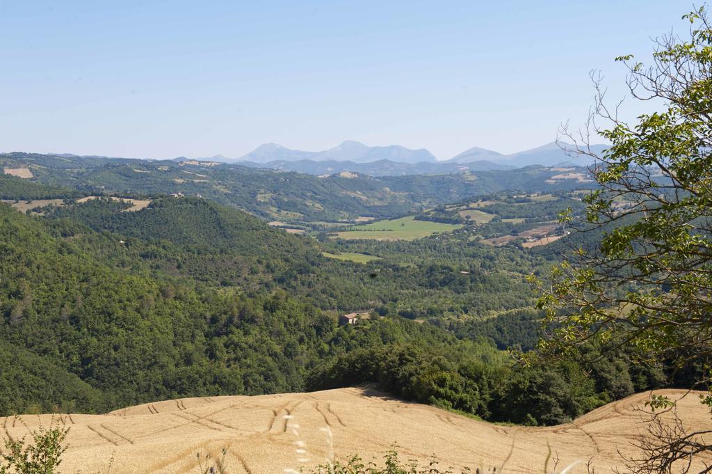 Agriturismo Tenuta Di Biscina Экстерьер фото