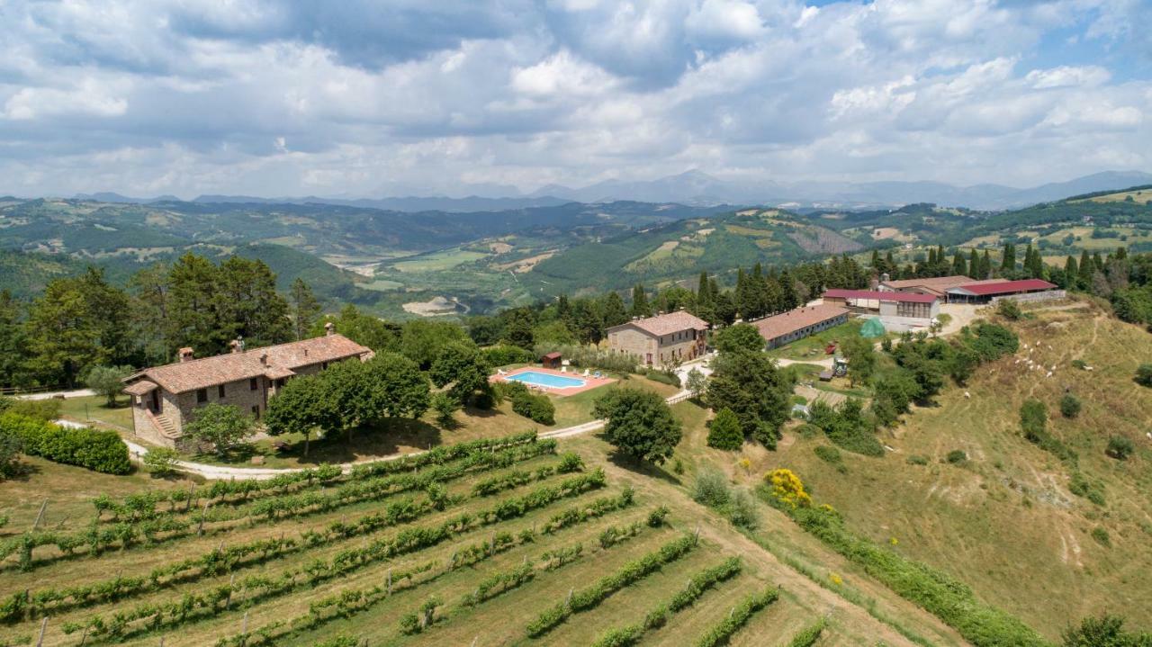Agriturismo Tenuta Di Biscina Экстерьер фото