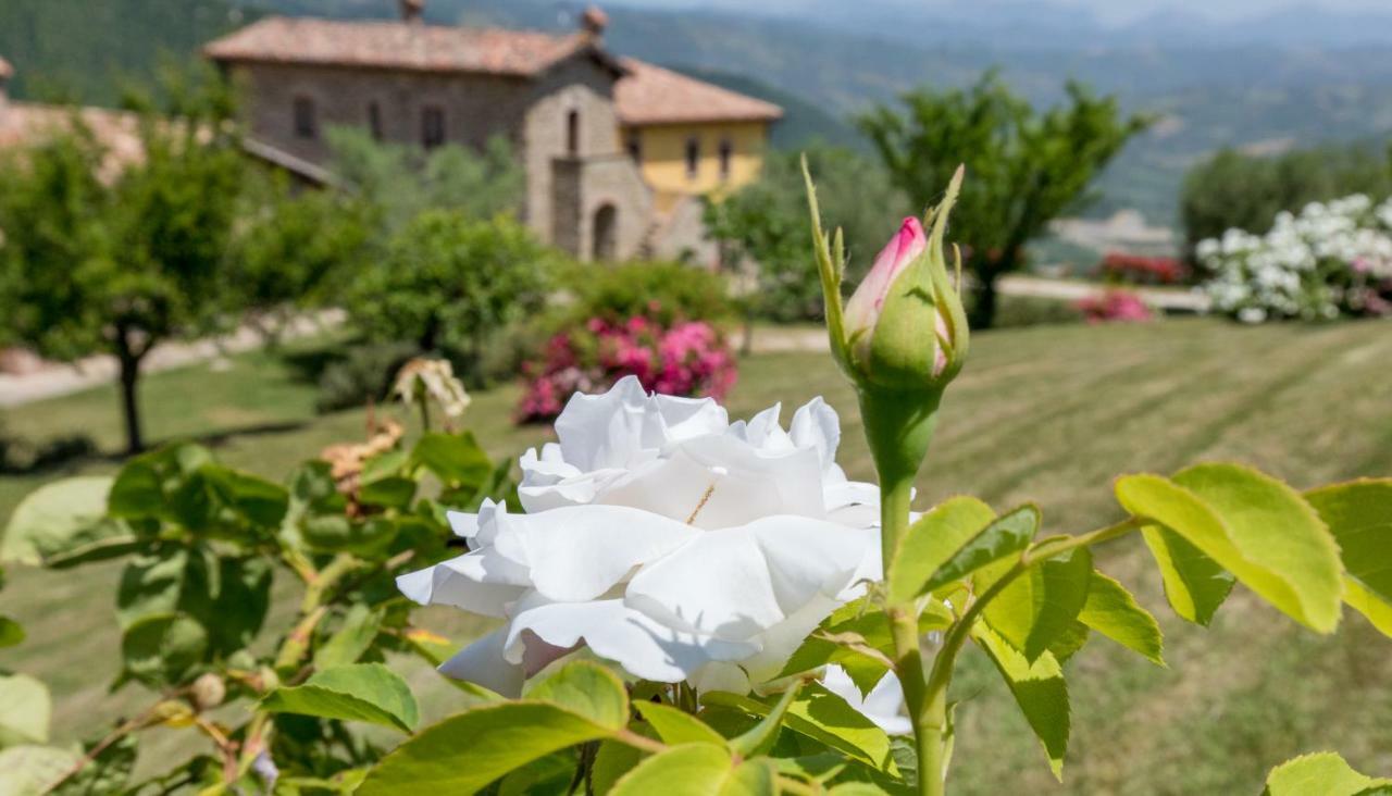 Agriturismo Tenuta Di Biscina Экстерьер фото